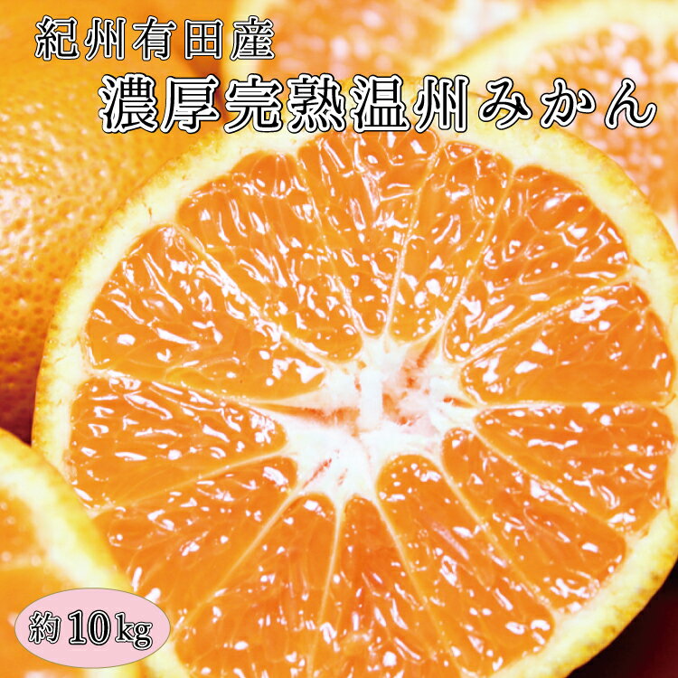 【ふるさと納税】 完熟有田みかん 10kg 先行予約 ※2025年11月下旬頃〜2026年1月下旬頃に順次発送予定(お届け日指定不可) / みかん 柑橘類 先行予約 人気