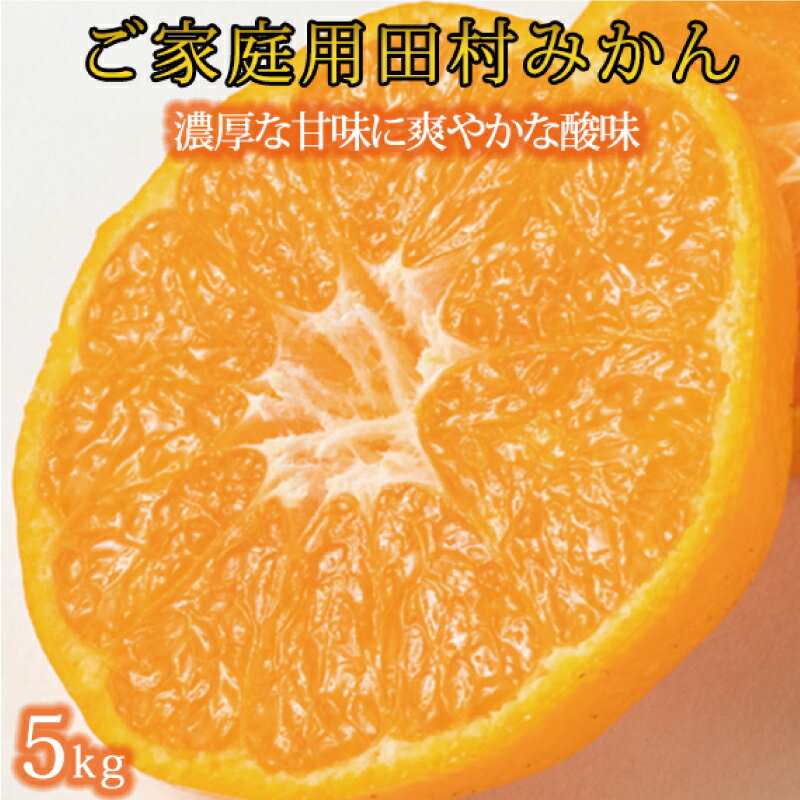 【ふるさと納税】【ご家庭用訳あり】田村みかん　5kg　※2024年11月下旬頃～2025年1月下旬頃に順次発送予定(お届け日指定不可) / みかん フルーツ 果物 くだもの