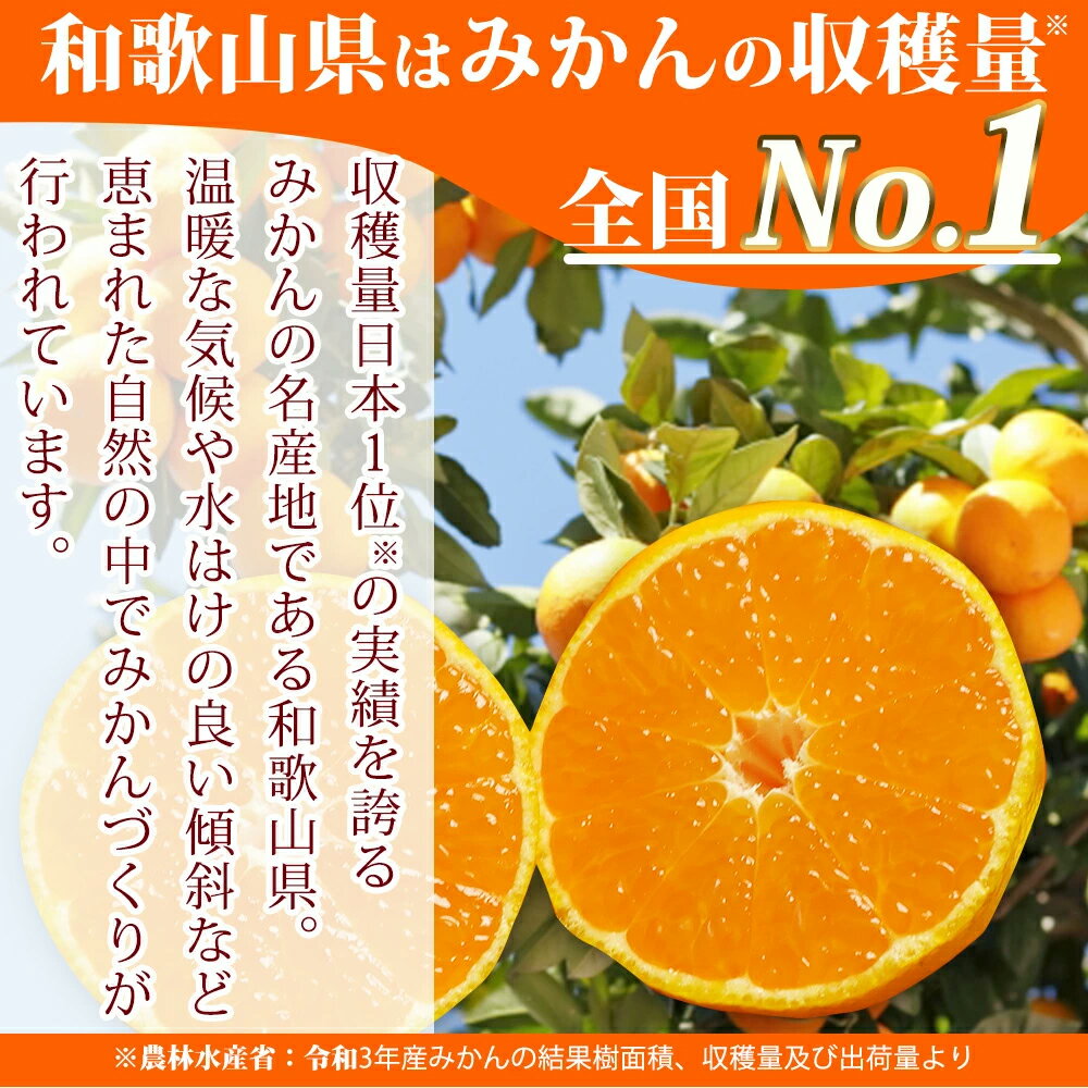 【ふるさと納税】紀州和歌山まるごとみかんゼリー145g×12個（6個入×2箱） ※2024年10月上旬頃より発送予定 / みかん 蜜柑 フルーツ 果物 くだもの ゼリー