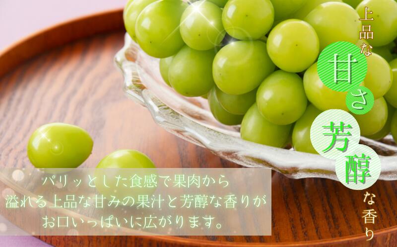 【ふるさと納税】 マスカット 紀州和歌山産 シャインマスカット 約2kg ※2025年8月下旬～9月上旬頃に順次発送 ※日付指定不可 ぶどう ブドウ 甘い 果物 高級 贅沢 くだもの フルーツ 人気
