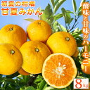 【ふるさと納税】【ご家庭用訳あり】紀州有田産 すっきり爽やか 甘夏みかん 8kg ※2026年3月上旬頃〜2026年3月下旬頃に順次発送予定 / 甘夏 あまなつ...