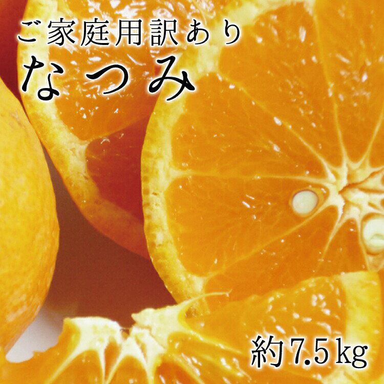 商品詳細 名称： なつみ 内容量： なつみ　7.5kg 賞味期限： 出荷日より7日 保存方法： 直射日光の当たらない、風通しの良い冷暗所で保存。 配送温度帯： 常温 製造者もしくは販売者 株式会社魚鶴商店 提供 株式会社魚鶴商店 返礼品発送元 株式会社魚鶴商店 注意事項： ・到着後すぐ箱から全部取り出し、傷んでいるものやカビが生えているものがないか確認してください。 ・返礼品の内容に問題がある場合はお届けから3日以内にご連絡ください。 ・保管はフタを開けて、できるだけ風通しのよい冷暗所で保存してください。 「なつみ」はカラマンダリンと吉浦ポンカンの交配から誕生しました。 見た目はみかんに近く、大きさも同じくらい、薄皮なので手で剥けて簡単に食べられます。 味はとにかく濃厚な甘みが特徴で、口に入れると果汁と香りがあふれ出します。 年明け以降に出回る中晩柑類の中には、酸度が高いうちに早めに収穫し、貯蔵中に減酸させてから出荷するものもありますが、 この「なつみ」は完熟するまで木に成らせておき、樹上で減酸後に収穫します。 樹上で完熟させるため、高糖度に仕上がります。 ※すり傷等が見受けられる訳あり品ですが、品質には問題ありません。 ※果肉に種がありますのでご注意ください。 ※到着後は、お早めにお召し上がりください。 ※画像はイメージです。 平成31年総務省告示第179号第5条第8号イ「市区町村が近隣の他の市区町村と共同で前各号いずれかに該当するものを共通の返礼品等とするもの」に該当する返礼品として、和歌山県内で合意した市町村間で出品しているものです。 ・ふるさと納税よくある質問は こちら ・寄附申込みのキャンセル、返礼品の変更・返品はできません。あらかじめご了承ください。 【こちらのお礼品は湯浅町と紀美野町との共通返礼品となります〔出荷元:魚鶴商店契約農家〕】 平成31年総務省告示第179号第5条第8号イ「市区町村が近隣の他の市区町村と共同で前各号いずれかに該当するものを共通の返礼品等とするもの」に該当する返礼品として、湯浅町と紀美野町が合意したものです。【注文内容確認画面の「注文者情報」を寄附者の住民票情報とみなします】 ・必ず氏名・住所が住民票情報と一致するかご確認ください。 ・受領書は住民票の住所に送られます。 ・返礼品を住民票と異なる住所に送付したい場合、注文内容確認画面の「送付先」に返礼品の送付先をご入力ください。 ※「注文者情報」は楽天会員登録情報が表示されますが、正確に反映されているかご自身でご確認ください。