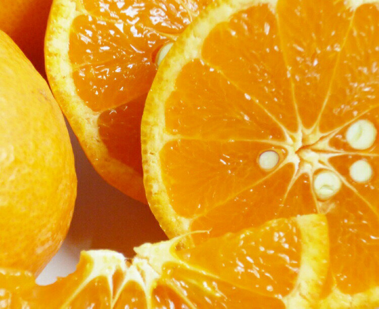 【ふるさと納税】 【ご家庭用訳アリ】初夏のみかん なつみ7.5kg　※2026年4月中旬～4月下旬頃に順次発送予定(お届け日指定不可) / みかん なつみ 和歌山 訳アリ