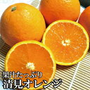 【ふるさと納税】果汁たっぷり!清見オレンジ 約5kg 有機質肥料100% ※2026年3月上旬より順次発送予定(お届け日指定不可)/ みかん 果物 くだもの フルーツ 柑橘