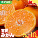 【ふるさと納税】 《 額田農園限定レビューキャンペーン対象 》有田みか...(4)