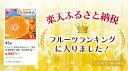 和歌山県紀美野町の画像2