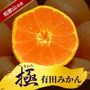 11位! 口コミ数「4件」評価「4.75」 《小玉》極 有田 みかん プレミアム 容量選べる 約2kg 約3.5kg 約5kg 約10kg【選りすぐりの上位20%をお届)2S~Lサイズ 有機質肥料100% ※2025年11月下旬~2026年1・・・