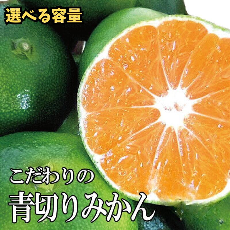 [2025年秋頃発送予約分][農家直送]こだわりの青切りみかん[選べる容量] 有機質肥料100% サイズ混合 ※2025年9月下旬より順次発送予定(お届け日指定不可)