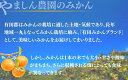 和歌山県紀美野町の画像2