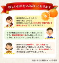 和歌山県紀美野町の画像3