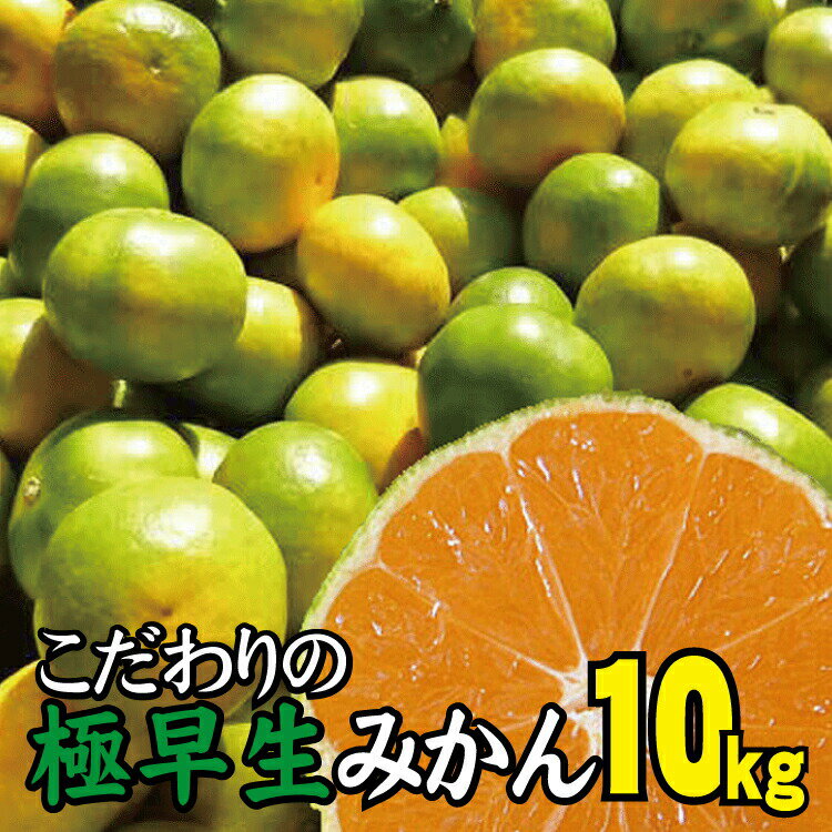 【ふるさと納税】農家直送 こだわりの極早生みかん 約10kg 数量限定 有機質肥料100% サイズ混合 ※2024年9月下旬より順次発送予定（お届け日指定不可） 有田産 有田 みかん