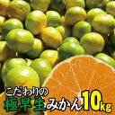 【ふるさと納税】農家直送 こだわりの極早生みかん 約10kg 数量限定 有機質肥料100% サイズ混合 ※2024年9月下旬より順次発送予定（お届け日指定不可） 有田産 有田 みかん