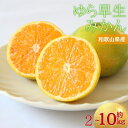 【ふるさと納税】 \光センサー選別/\農家直送/ 甘くて濃厚 希少品種ゆら早生みかん【ご家庭用】 【選べる容量】 サイズ混合 有機質肥料100%【2025年10月上旬より順次発送予定(お届け日指定不可)】
