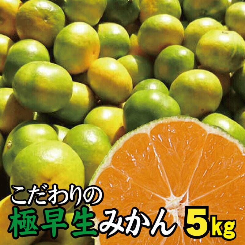 14位! 口コミ数「0件」評価「0」【2024年秋頃発送予約分】【農家直送】こだわりの極早生みかん 約5kg【数量限定】 有機質肥料100% サイズ混合 ※2024年9月下旬よ･･･ 