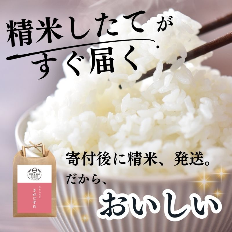 【ふるさと納税】和歌山県産の お米 きぬむすめ 10kg (2023年産) 産地直送 / 米 こめ ご飯 ごはん 白米 国産 和歌山県産