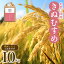 【ふるさと納税】和歌山県産の お米 きぬむすめ 10kg (2023年産) 産地直送 / 米 こめ ご飯 ごはん 白米 国産 和歌山県産