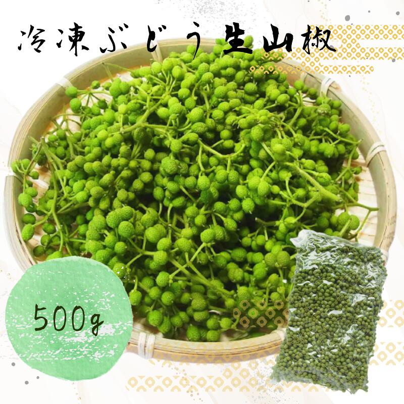 【ふるさと納税】冷凍ぶどう生実山椒 500g / 山椒 野菜 冷凍 香辛料 調味料 スパイス 青実山椒 冷凍便