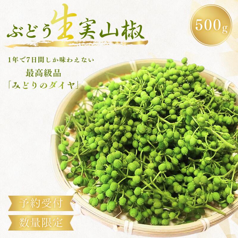 14位! 口コミ数「1件」評価「4」【受付は5月15日まで！】 ぶどう生山椒 500g※離島への配送不可 / 山椒 ぶどう 生山椒 調味料 スパイス 先行予約 数量限定 短期間