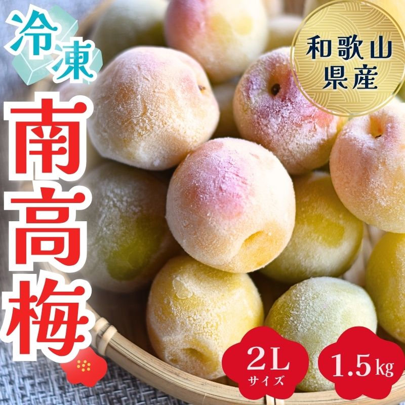 紀美野町産 冷凍南高梅 2Lサイズ1.5キロ 1.5kg(500g×3袋) / 梅 冷凍 南高梅 梅ジャム 梅酒 梅シロップ 大粒