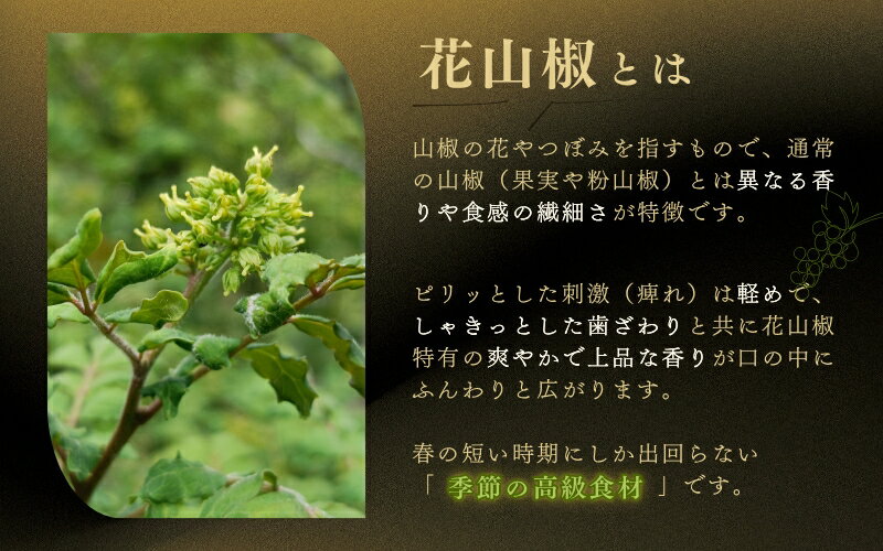 【ふるさと納税】 高級・希少食材 冷凍 花山椒 50g 和歌山県産 / 山椒 さんしょう 香辛料 調味料 薬味 冷凍 高級 和歌山県 紀美野町 料亭【twn024】
