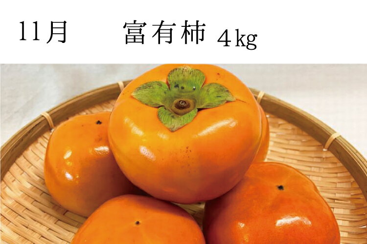 【ふるさと納税】【全3回定期便】秋の味覚 果物定期便　柿・みかん　旬のフルーツを毎月お届け♪