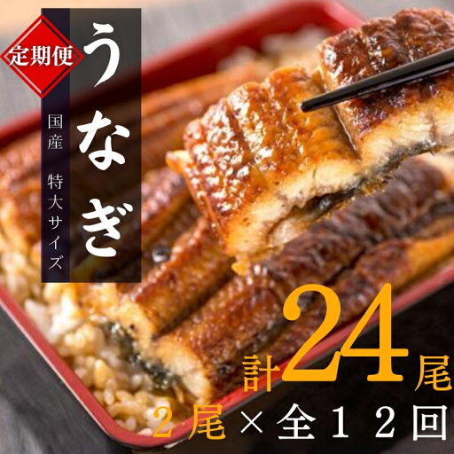 【ふるさと納税】【12ヶ月定期便】大型サイズ ふっくら柔らか 国産うなぎ蒲焼き 2尾×12ヶ月連続でお届け 計24尾 約4080g / うなぎ ウナギ 鰻 国産 蒲焼 蒲焼き たれ 人気 定期便 ふるさと納税 12か月 12ヶ月 12回 全12回 【ふるさと納税】【12ヶ月定期便】大型サイズ ふっくら柔らか 国産うなぎ蒲焼き 2尾×12ヶ月連続でお届け 計24尾 約4080g / うなぎ ウナギ 鰻 国産 蒲焼 蒲焼き たれ 人気 定期便 ふるさと納税 12か月 12ヶ月 12回 全12回