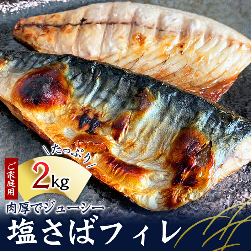 [全3回]大容量! ご家庭用 塩さばフィレの定期便 / さば サバ 鯖 フィレ 切り身 切身 魚 海鮮 焼き魚 おかず 定期便