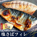 【ふるさと納税】【全3回】大容量! ご家庭用 塩さばフィレの定期便 / さば サバ 鯖 フィレ 切り身 切身 魚 海鮮 焼き魚 おかず 定期便