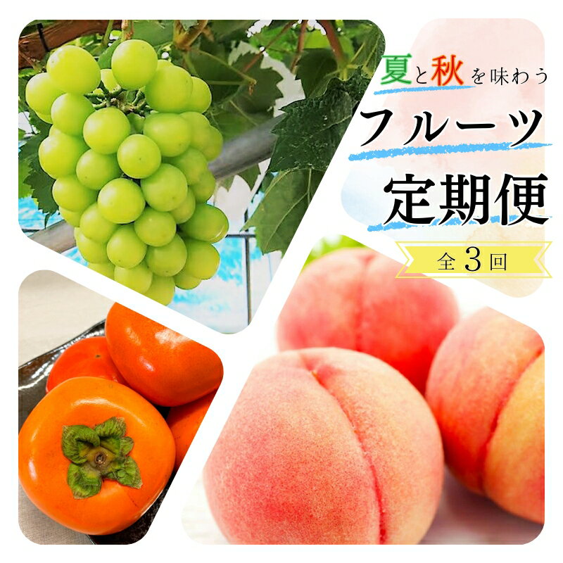 【ふるさと納税】【全3回】 夏と秋を味わうフルーツ定期便 (桃・マスカット・柿)