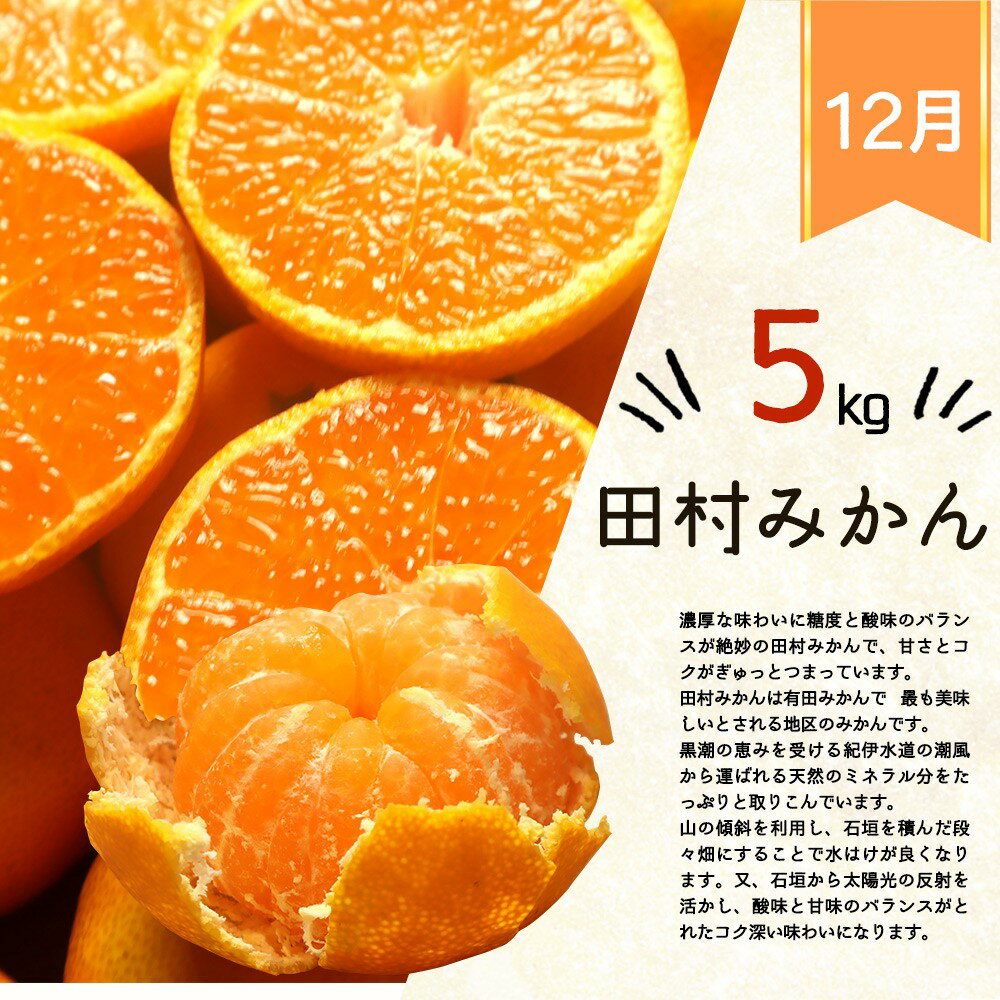 【ふるさと納税】【全3回】紀州和歌山産旬のフルーツ定期便 (田村みかん・はるみ・不知火)