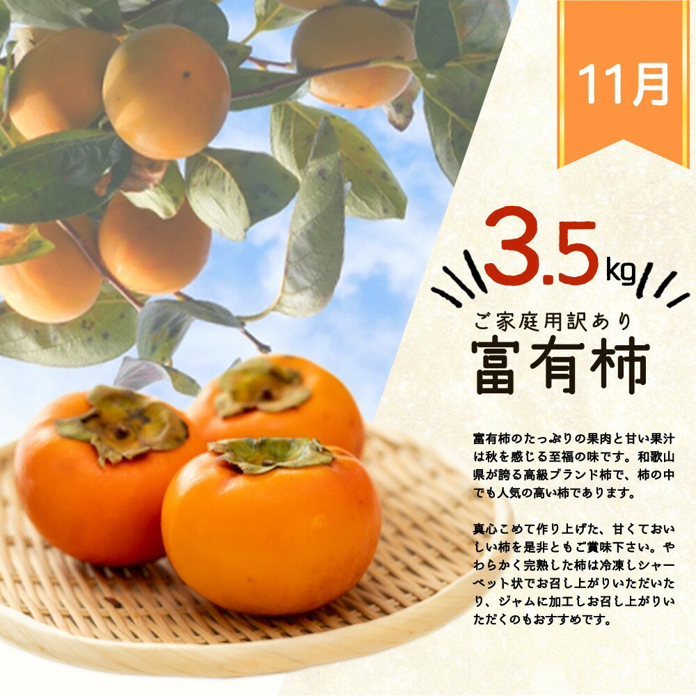 【ふるさと納税】【全3回】紀州和歌山産旬のご家庭用果物定期便 (ひらたねなし柿・富有柿・みかん)