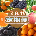 【ふるさと納税】【定期便全3回】産直・和歌山フルーツ定期便(桃・ピオーネ・有田みかん) / みかん もも ぶどう フルーツ 詰合せ セット