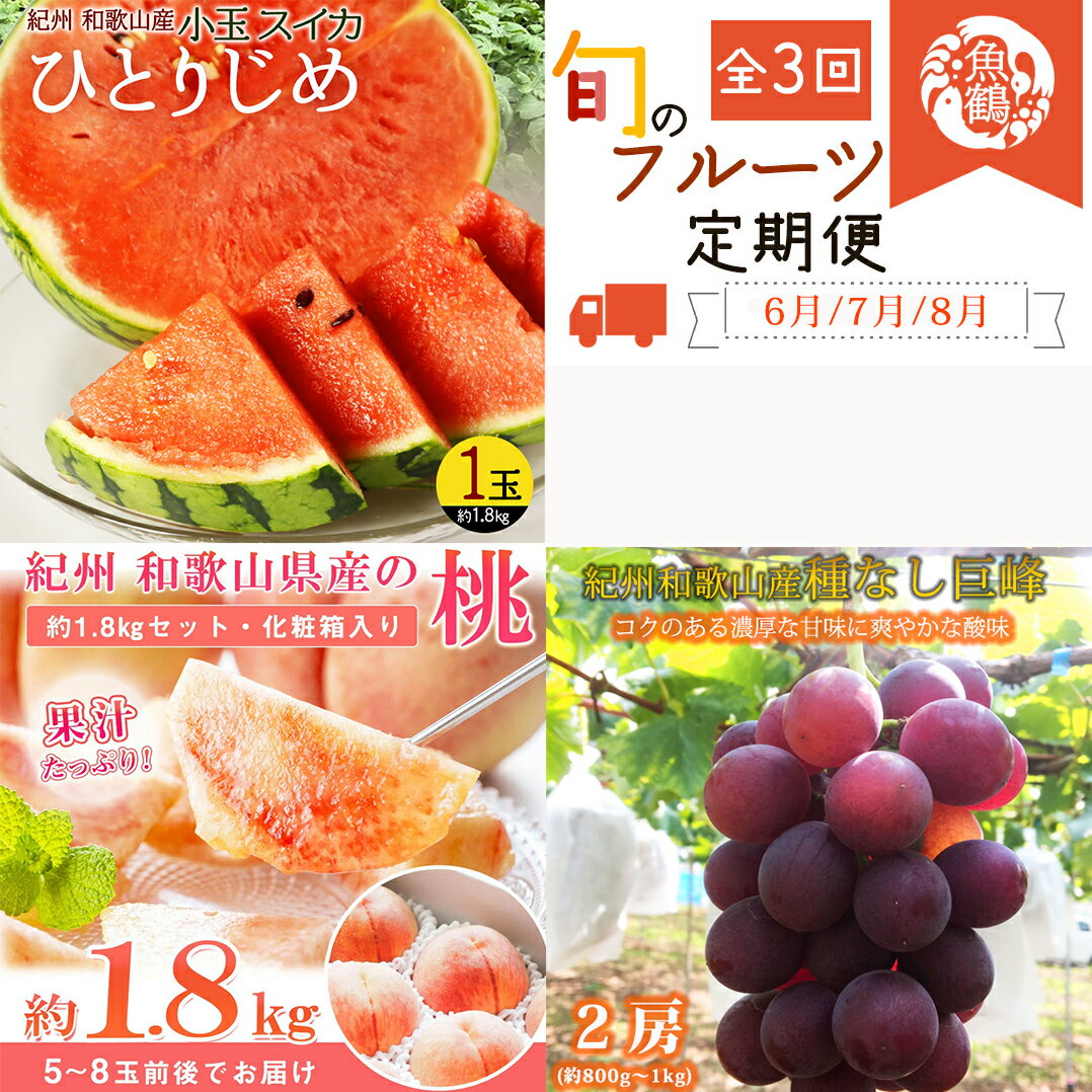 【ふるさと納税】【全3回】紀州和歌山産旬のフルーツ定期便 (スイカ・桃・巨峰) / すいか スイカ もも 桃 白桃 巨峰 ぶどう 果物 くだもの フルーツ フルーツ定期便 和歌山