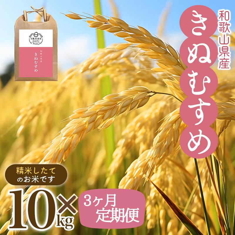 【ふるさと納税】【3ヶ月定期便】和歌山県産の お米 きぬむすめ 10kg×3ヶ月連続...