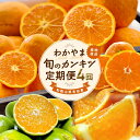 【ふるさと納税】 【家庭用 訳あり】わかやま旬のカンキツ定期便【L】 全4回 【3・5・9・11月発送】 | フルーツ 果物 くだもの 食品 人気 おすすめ 送料無料|詳細画像