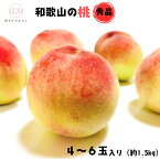 【ふるさと納税】和歌山のこだわり桃 4~6玉(約1.5kg) 【数量限定・和歌山ブランド・厳選】【発送時期:2026年7月上旬~7月下旬頃に発送】
