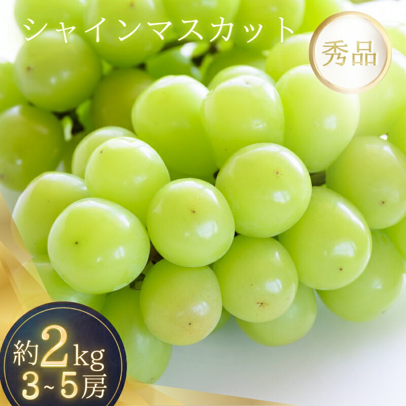 【ふるさと納税】 シャインマスカット たっぷり 約2kg 箱入り 【2025年8月中旬〜9月上旬頃順次発送】 | ぶどう マスカット フルーツ 果物 くだもの 食品 人気 おすすめ 送料無料