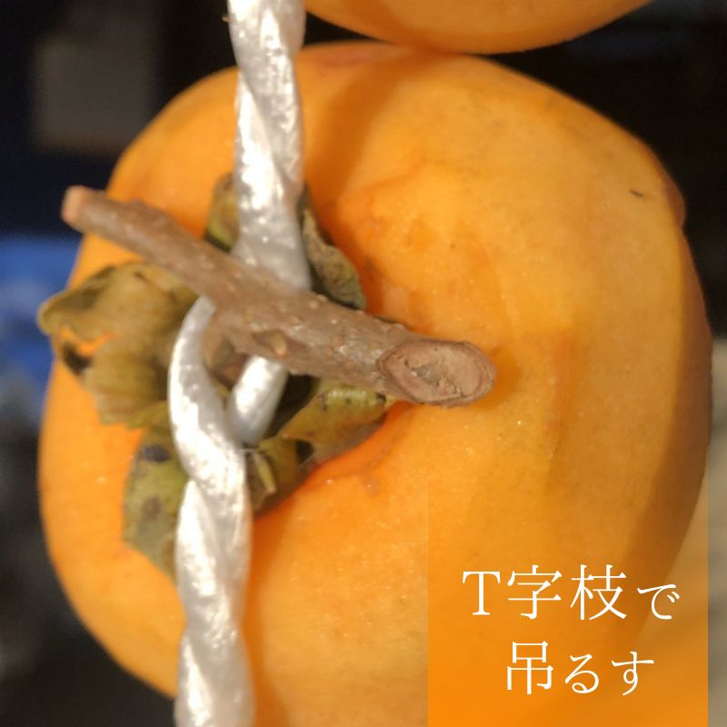 【ふるさと納税】 甘さが違う！とっても甘くなる生渋柿 （平たねなし柿）吊るし柿用 T字枝 又は クリップ付 (選べる容量 約1.5 〜 15 kg 【約6 〜 90個】) 【2026年10月中旬〜11月上旬ごろ順次発送】 | 柿 たねなし柿 平核無柿 果物 フルーツ 和歌山ご家庭用 和歌山 特産品