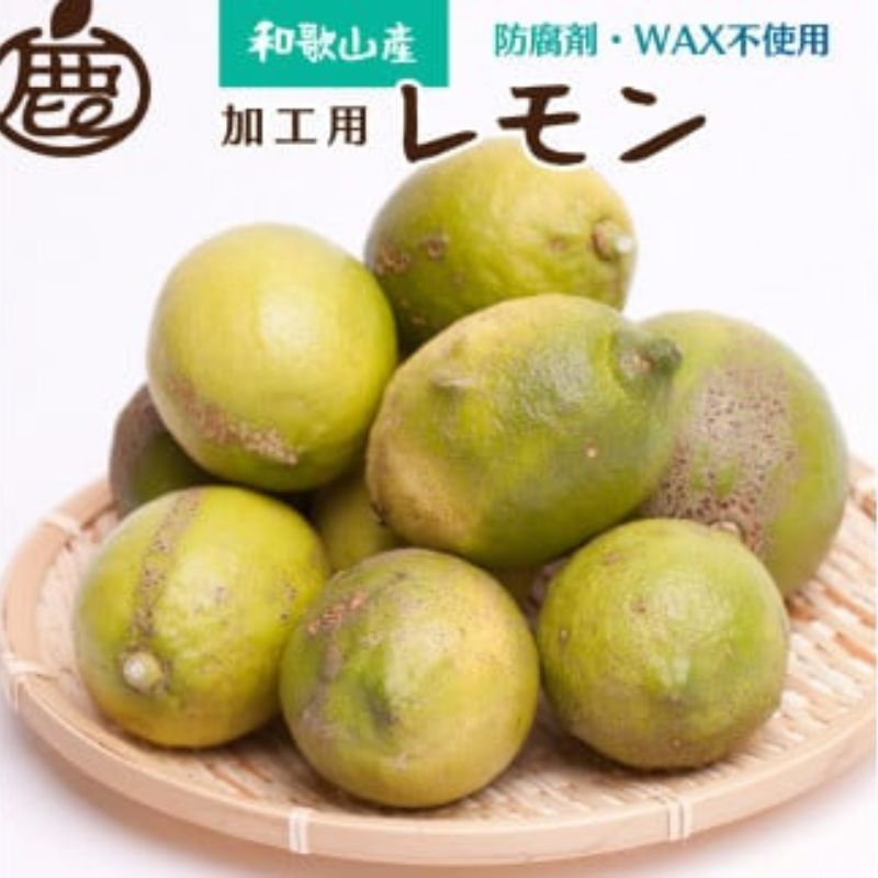 【ふるさと納税】＜9月より発送＞ 加工用 黒潮 レモン 5kg+150g（傷み補償分） 和歌山有田産 防腐剤・WAX不使用 安心の国産レモン 訳あり わけあり レモン 果汁用［IKE80］ | フルーツ 果物 くだもの 食品 人気 おすすめ 送料無料