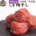 【ふるさと納税】 【家庭用】 紀州南高梅 しそ梅干し 約500g つぶれ梅 塩分ひかえめ【順次発送】【IKE84】 | 梅干 食品 加工食品 人気 おすすめ 送料無料