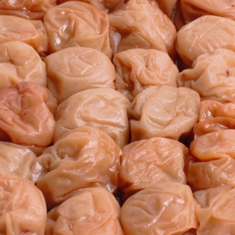 【ふるさと納税】 【訳あり】有田みかん 蜂蜜梅干し 家庭用 訳あり 約500g 紀州南高梅【順次発送】【IKE83】 | 梅干 食品 加工食品 人気 おすすめ 送料無料