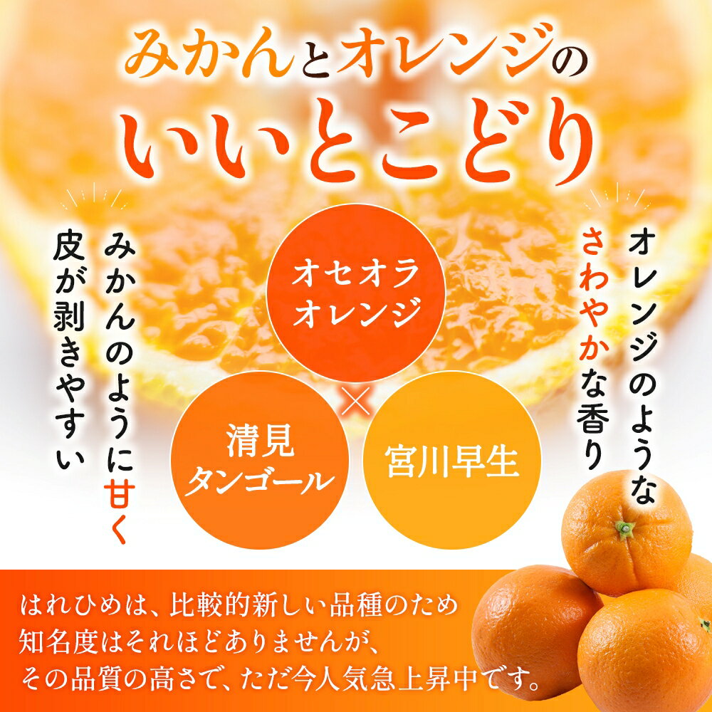 【ふるさと納税】 みかん はれひめ ☆みかんの希少種☆ 秀品 約5kg 25〜30個入【2025年12月中旬頃〜2026年2月初旬頃発送予定】みかん ミカン 蜜柑 柑橘 フルーツ 果物 くだもの 先行予約 15000円 数量限定 お取り寄せ 人気 和歌山県 かつらぎ町 くしがきの里 送料無料