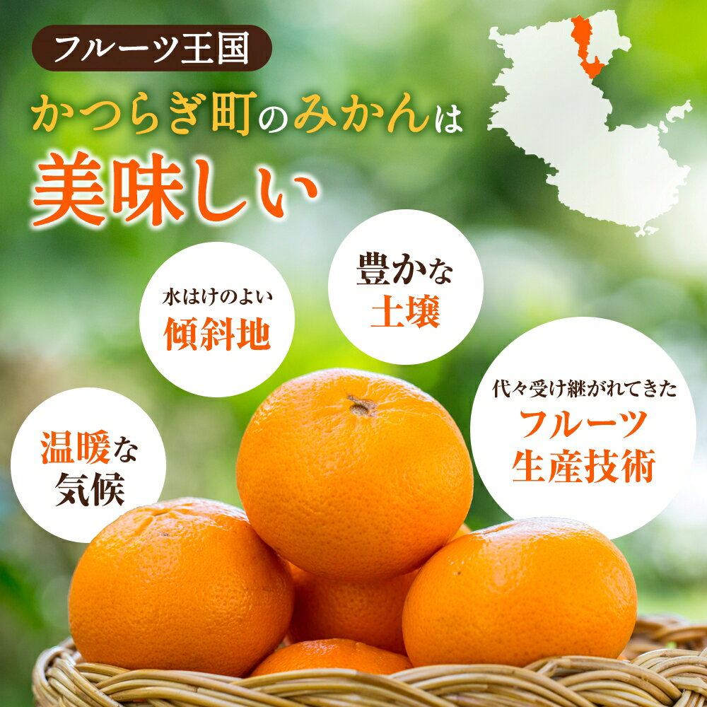 【ふるさと納税】 みかん はれひめ ☆みかんの希少種☆ 秀品 約5kg 25〜30個入【2025年12月中旬頃〜2026年2月初旬頃発送予定】みかん ミカン 蜜柑 柑橘 フルーツ 果物 くだもの 先行予約 15000円 数量限定 お取り寄せ 人気 和歌山県 かつらぎ町 くしがきの里 送料無料