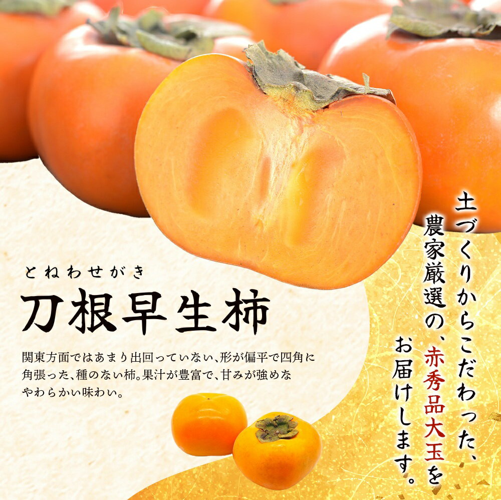【ふるさと納税】 柿 種無し 赤秀品 超大玉 約1.8kg 6個 【先行予約】【2026年9月下旬から10月下旬頃発送】【KG4】