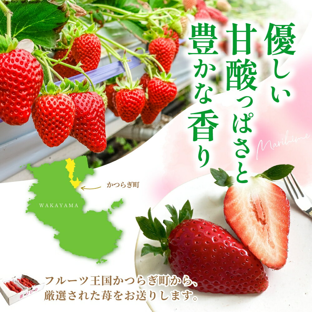 【ふるさと納税】まりひめイチゴ L～2L 12粒～15粒×2パック【2026年1月中旬～3月中旬頃に順次発送】【先行販売】【KG7】