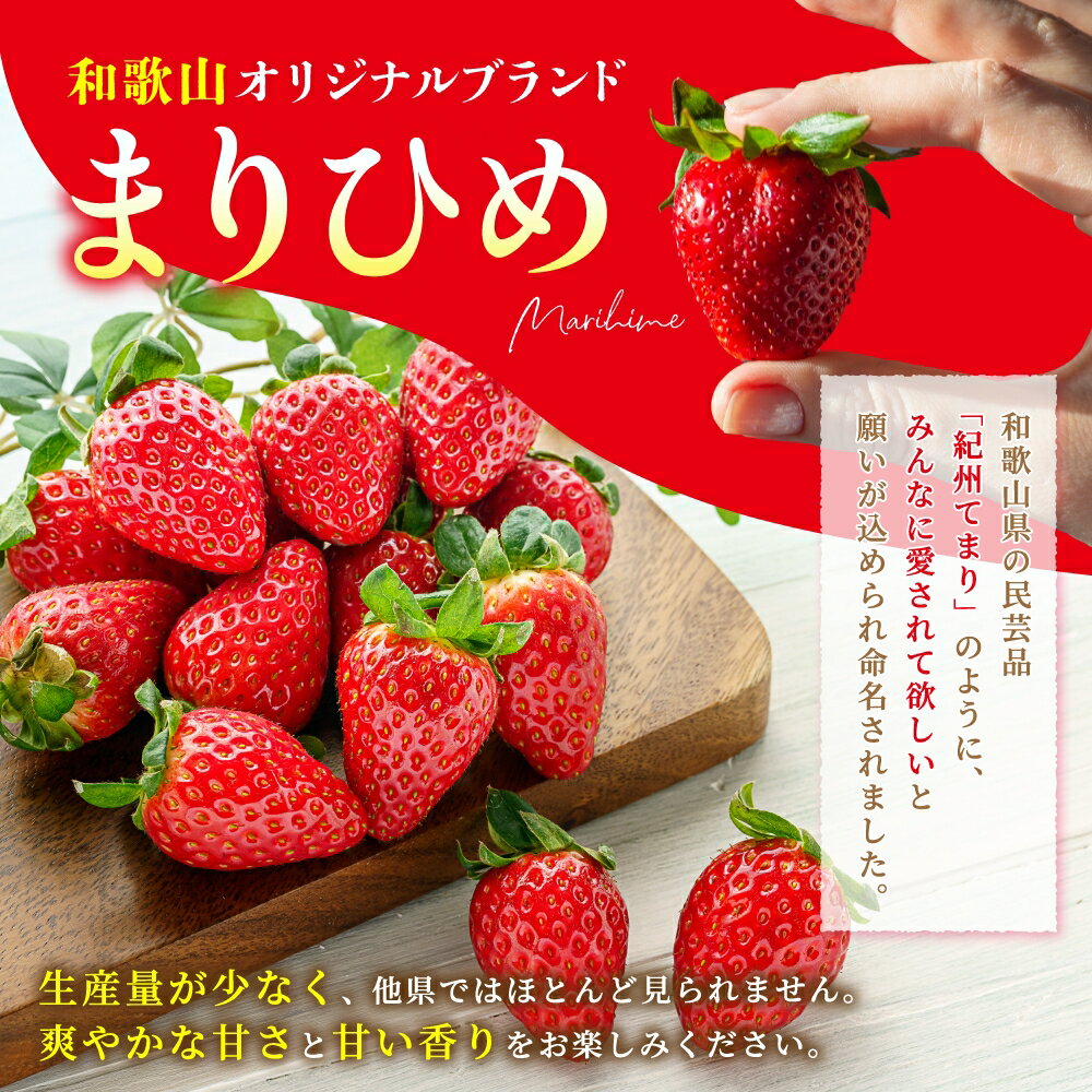 【ふるさと納税】まりひめイチゴ L～2L 12粒～15粒×2パック【2026年1月中旬～3月中旬頃に順次発送】【先行販売】【KG7】