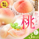 【ふるさと納税】 ☆極上秀品☆ 桃 食べきりやすい3個入 【2025年7月末から8月末順次発送】こだわり農家厳選 桃 もも モモ 果物 くだもの フルーツ 先行予約 人気 和歌山の桃 贈答 贈り物 プレゼント 数量限定 お取り寄せ かつらぎ町 くしがきの里 送料無料【KG18】