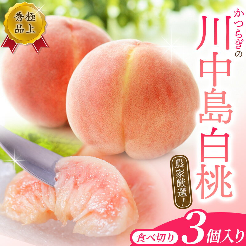 【ふるさと納税】【秀品】川中島白桃 食べきりやすい3個入り 【2025年7月末頃から順次発送】こだわり 農家厳選 先行予約 モモ 【KG16】