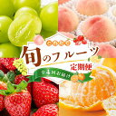 【ふるさと納税】 【フルーツ定期便・全4回】品質に自信あり!くしがきの里から直送 桃・シャインマスカット・はれひめ・まりひめを季節ごとにお届け♪ / 定期便 桃 もも みかん 柑橘 シャインマスカット マスカット いちご イチゴ 苺 果物 フルーツ 4回