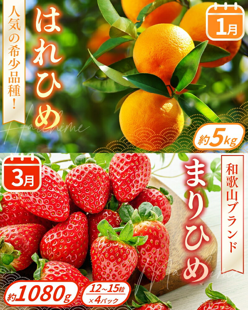 【ふるさと納税】 【フルーツ定期便・全9回】品質に自信あり！くしがきの里から直送　人気の果物を贅沢に楽しめる♪ / 定期便 桃 もも みかん 柑橘 シャインマスカット ぶどう 柿 キウイ マスカット いちご 不知火 はれひめ イチゴ 苺 果物 フルーツ 9回